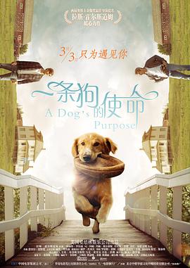 国产 欧美 在线